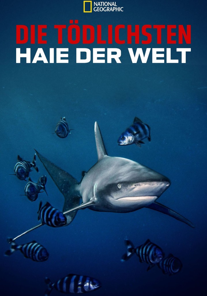 World's Most Dangerous Shark? Online Stream anschauen